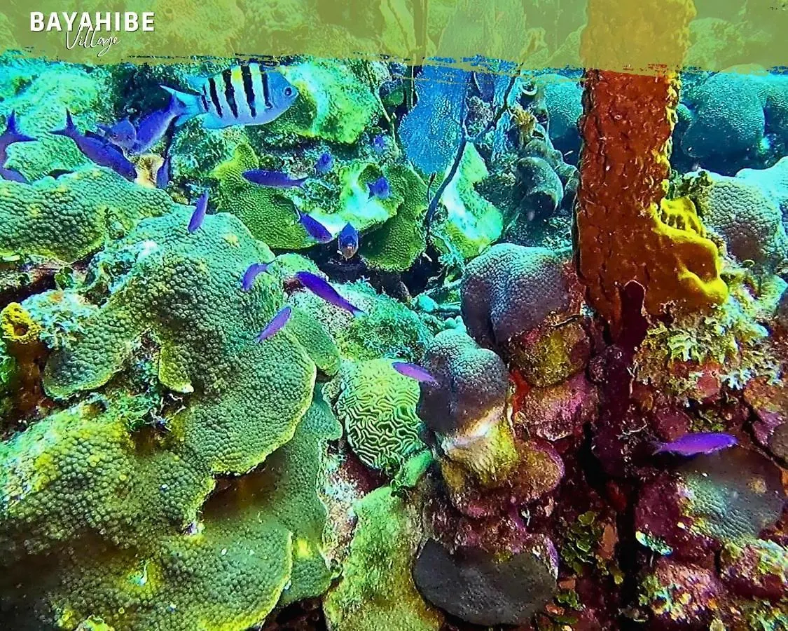 Bayahibe Pueblo Lägenhet