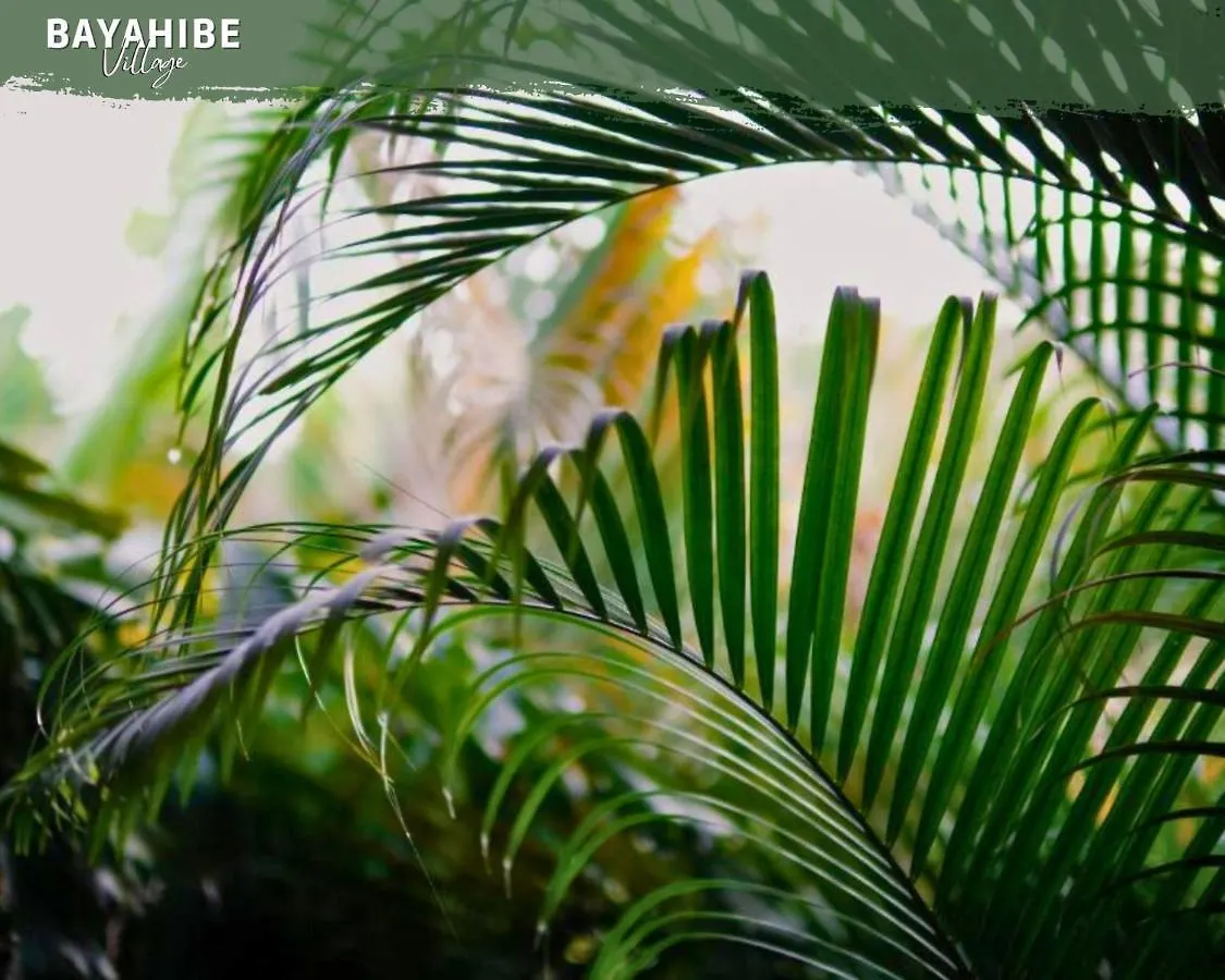 アパート Bayahibe Puebloアパートメント